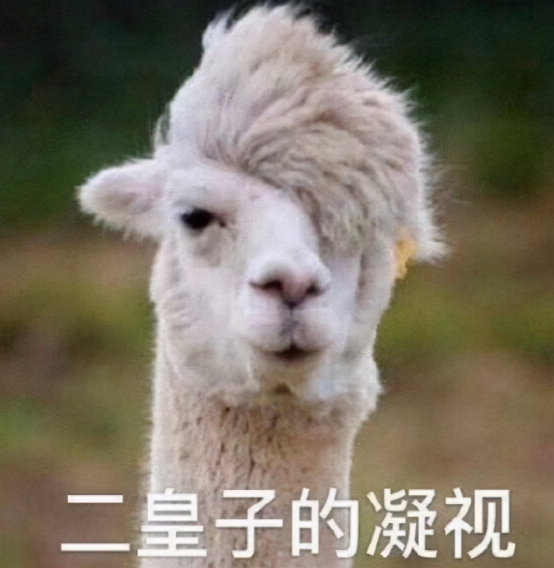 风起洛阳|明明是同一张脸，演完《庆余年》再演《风起洛阳》，愣是没看出来