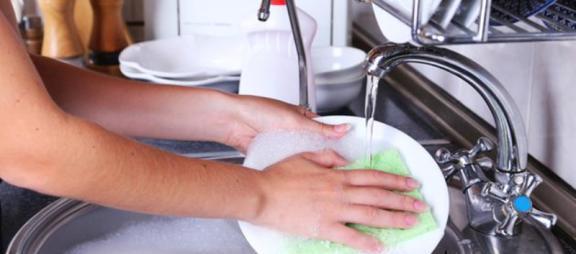 白菜|4小时不洗碗等于“吃毒”，是真的吗？研究结果公布，早知早获益