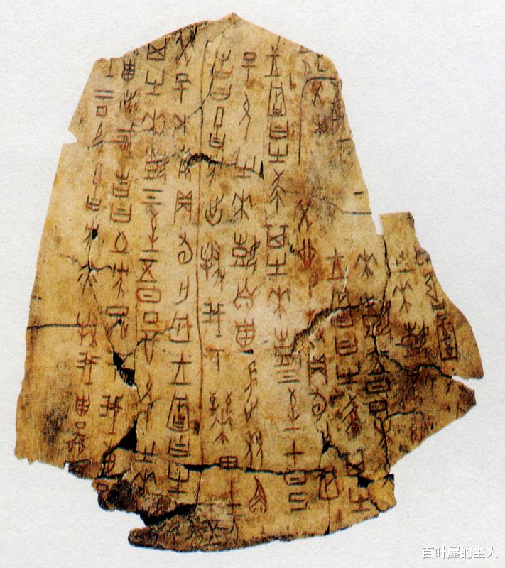 百叶屋的主人 视频博主乱象，让人深思