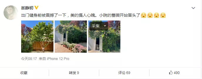 张静初|41岁影后被曝“专睡导演20年”，惨遭封杀后至今未婚，她做错了什么？