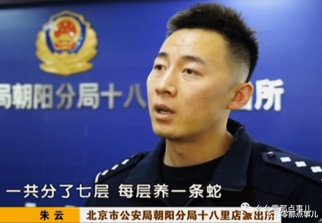 幺幺零那点事儿 爱好养蛇本无错，偏要触碰法律红线！网购红尾蚺，北京男子被刑拘