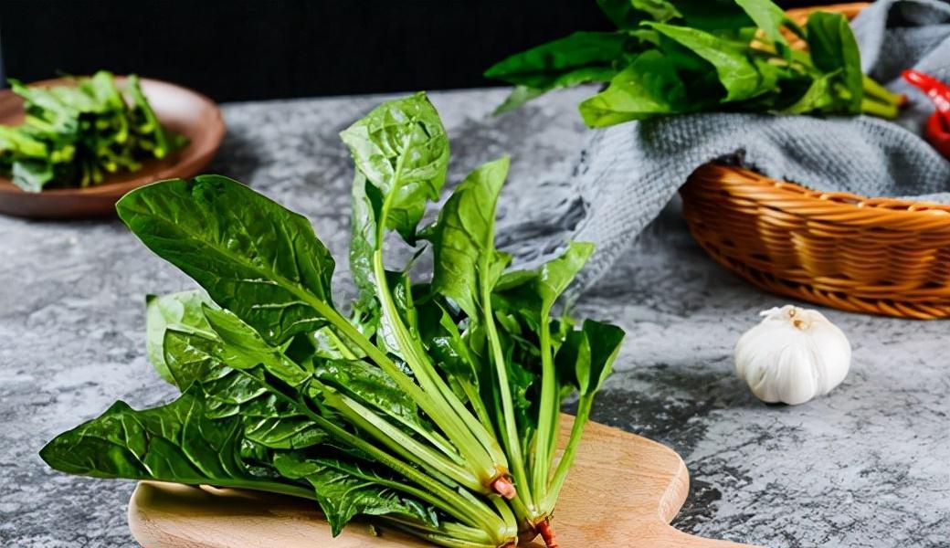 木耳|木耳是肾衰竭“发物”吗？养肾护肾：少吃3菜，常喝2茶，做好1事