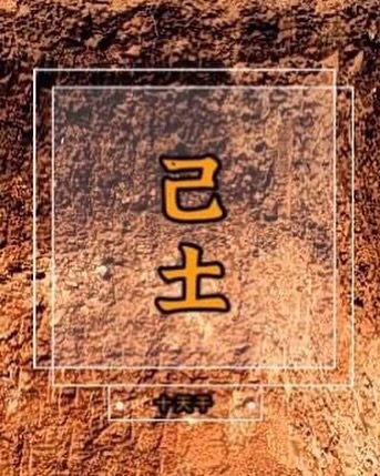 王家荣命理|己土女，己土男，己土日主的命理特点。