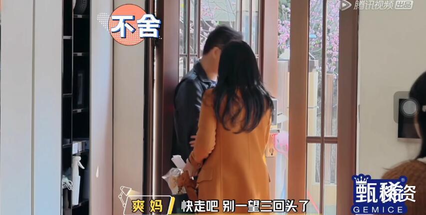 郑爽|郑爽这一家子，绝了