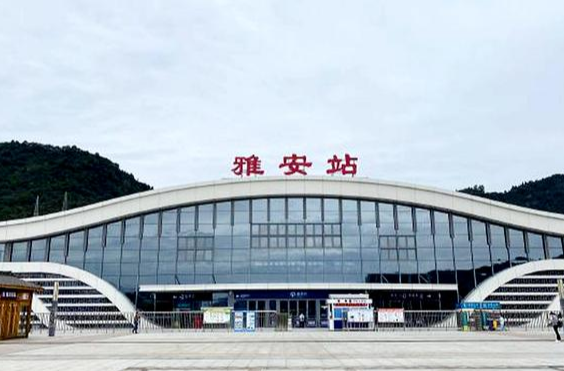 浓烈难咽下|重庆女子烦恼,回四川老家雅安,坐动车太折腾了