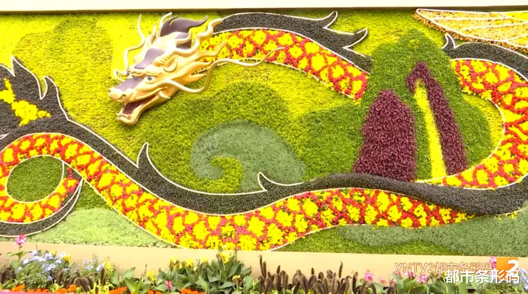 安徽 惊艳！长达50米3D花墙横空出世，就在昆明