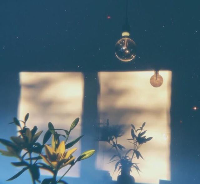 旧城晔南|关于爱情的英文文案，唯美且浪漫