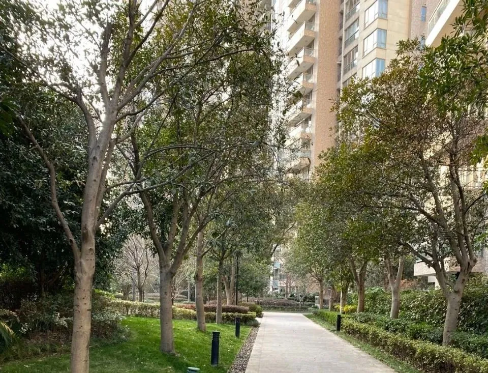 畅谈装修 为了便宜买2楼新房，我入住近一年，用亲身经历来谈谈是否后悔过