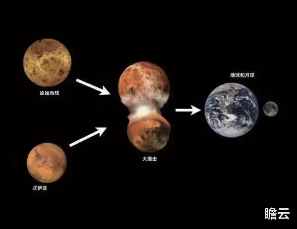 长达40亿年的生命历程,人类是如何一步步进化来的?(人类进化极简史)