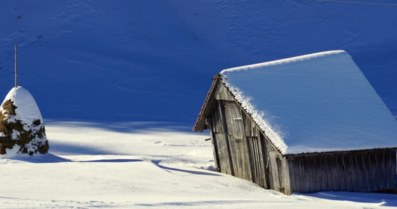 西安电子科技大学|职场漫谈，在日本上司公司工作，是一种什么体验？