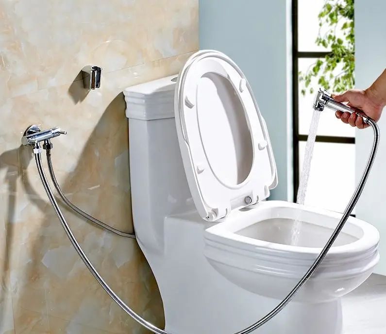 时尚装修设计大全 卫生间装修,只在马桶旁多装个高压喷头!舒适又便宜,好处太多了