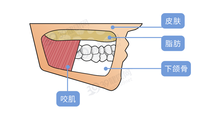 医学|人到中年，比发福更可怕的是发腮！做好3点，重回“颜值巅峰”
