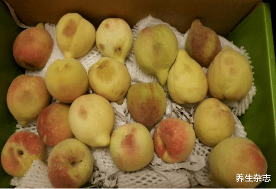 苹果|胃病“加速剂”被发现，消化科主任：辣椒未上榜，第一名不少人天天吃