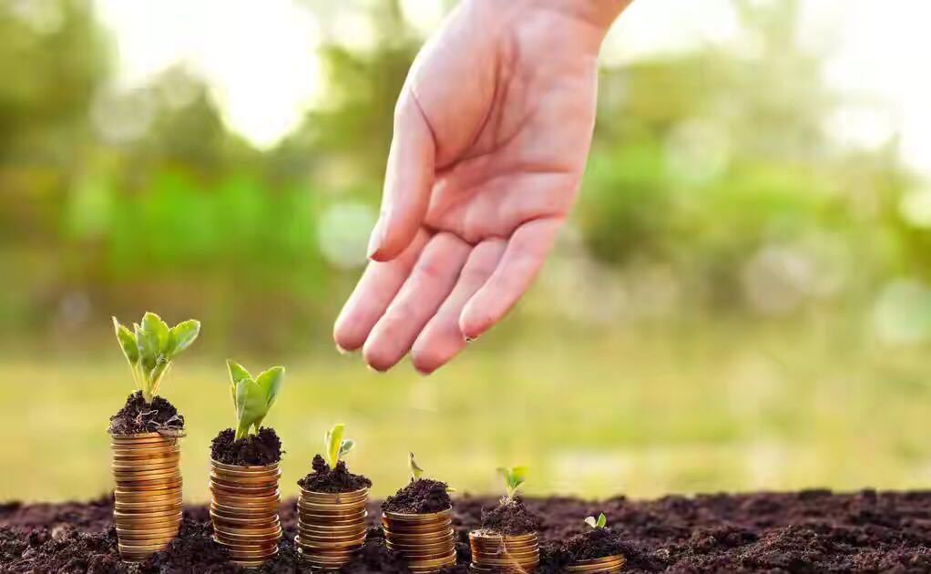 诺妈家有男宝娃|萌娃摆地摊“出圈”：你怎样对待金钱，命运怎样对待你！