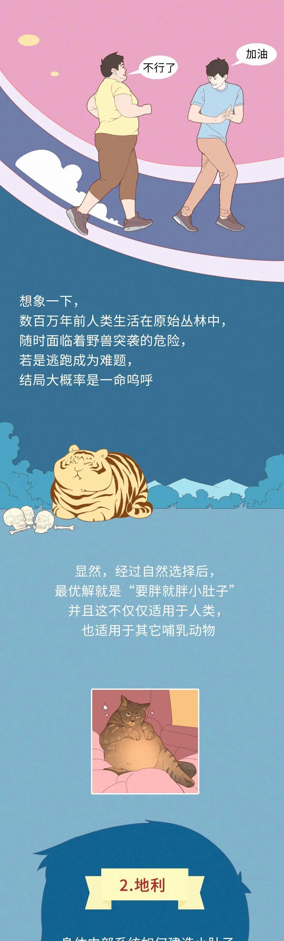 |为啥你明明不胖，却有“小肚子”？一组漫画科普，解读人体奥秘！
