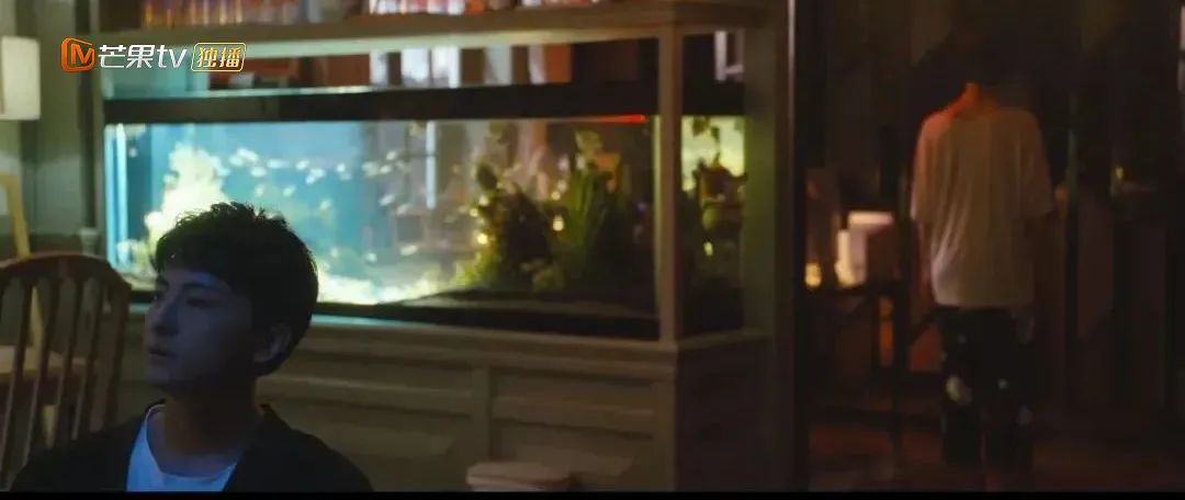 国产剧|终于有一部国产剧,不再妖魔化她