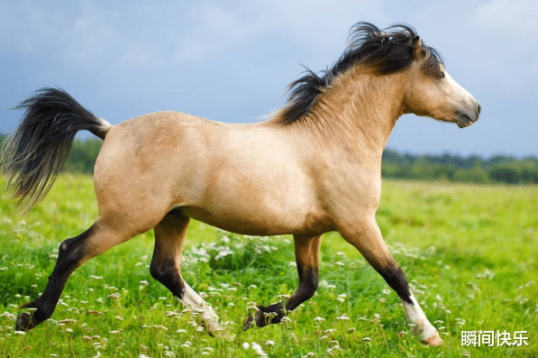 窘境|家中若有这3个生肖，9月必当窘境退去，越过低谷，事业重返巅峰