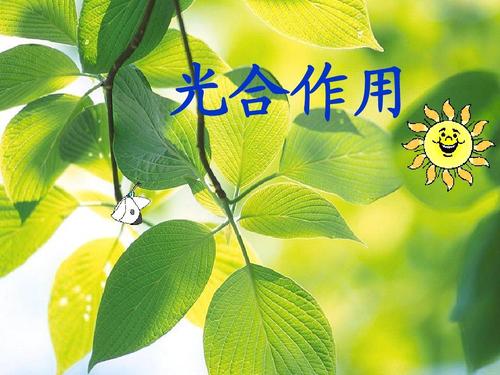 氧的本质是电场,这一科学解释从何而来?