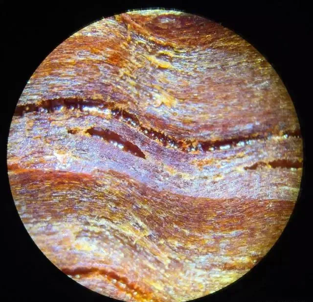 血檀|小叶紫檀与血檀有什么区别