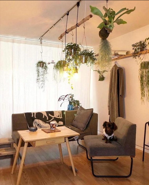 独居6年！一人独居有狗相伴，家居布置得简单精致，太羡慕了