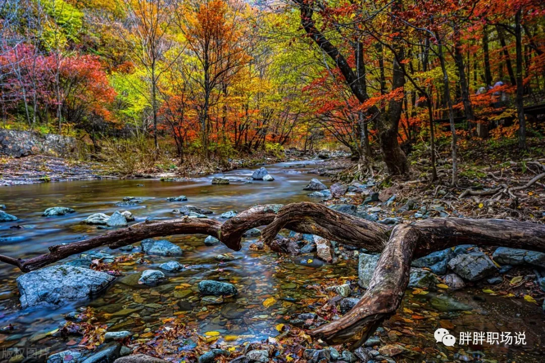 县委书记|职场最顶级思维，沉得住气，不动声色