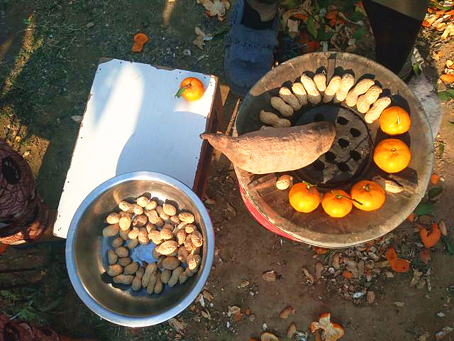 花生|花生叶治疗失眠有奇效