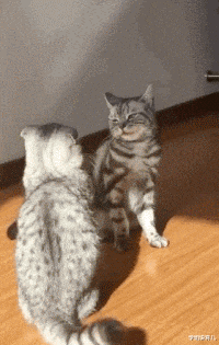 学姐说育儿|为什么内内上非要这东西,我感觉在针对有肚子的小姐姐!