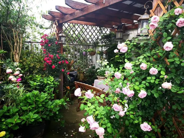 顶楼闲置138㎡露台变废为宝，3年时间变身空中小花园，不想出门了