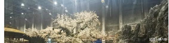 杨紫|《沉香如屑》杨紫救场不情愿？综艺、杂志都拍完仍不进组