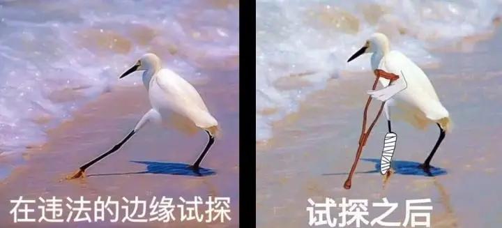 gai|他的头再铁，这次也死定了