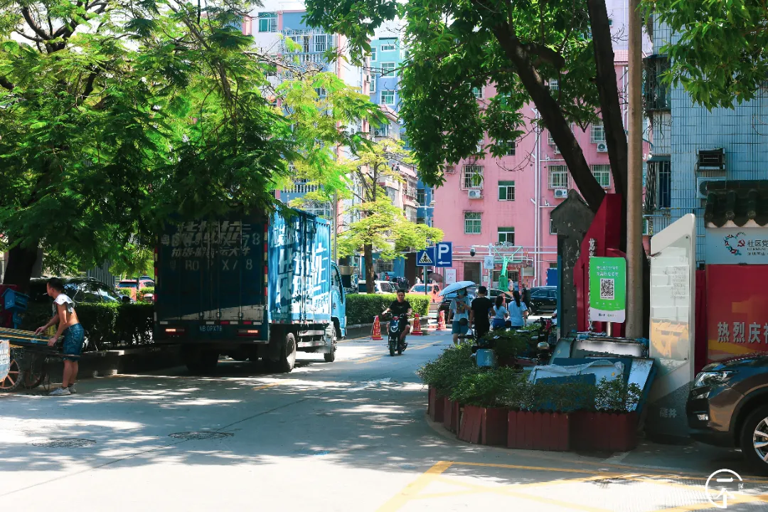 泉州|深圳南山有个“低调”村，个个月薪上万？