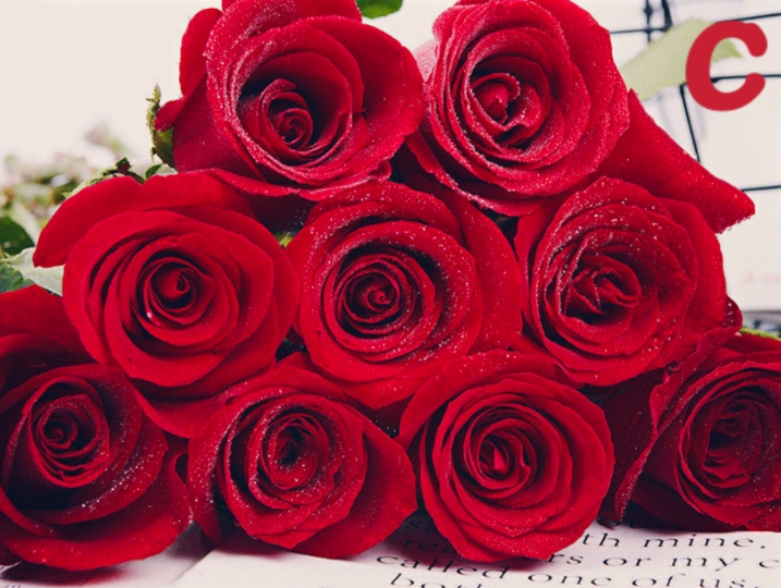 心理學：你最想收到哪束玫瑰花，看穿你老公到底是怎樣一個人-圖3