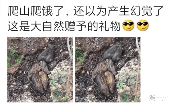 扎心|“原来好看的发型是需要颜值去支撑的，这个事实真的是太扎心了啊”哈哈哈哈