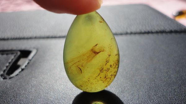  多米尼加琥珀只有蓝珀？真相远不止