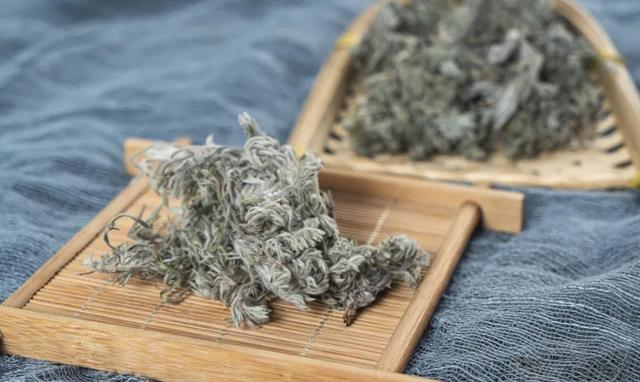 华佗|三月茵陈能治病,四月青蒿当柴烧,为何茵陈的采集时间如此关键?