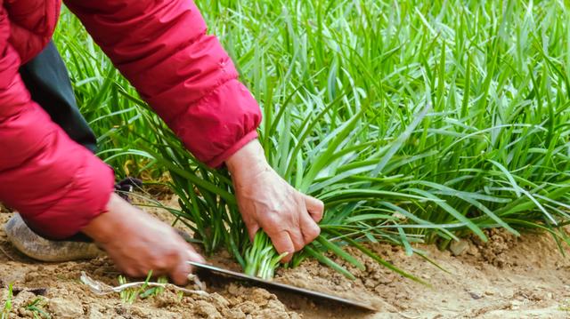 康美们，“自罚三杯”不管用了，还要赔24个亿