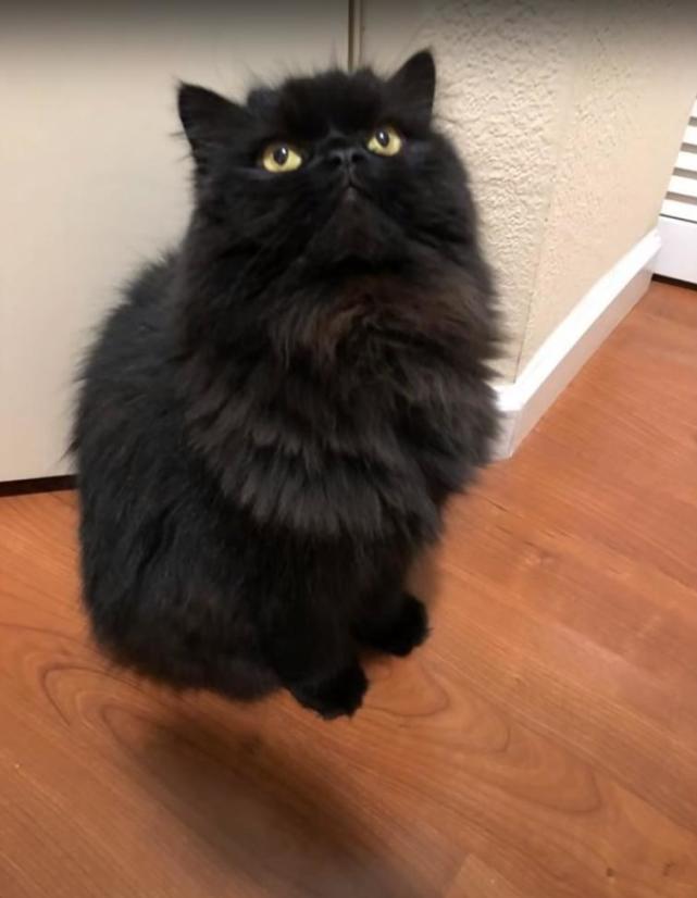  36张罕见的照片，感觉被大自然惊艳到了。