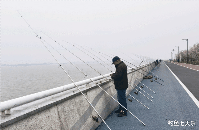 长江|长江垂钓规定来了！禁渔不禁钓，5条原则给钓鱼人指明方向