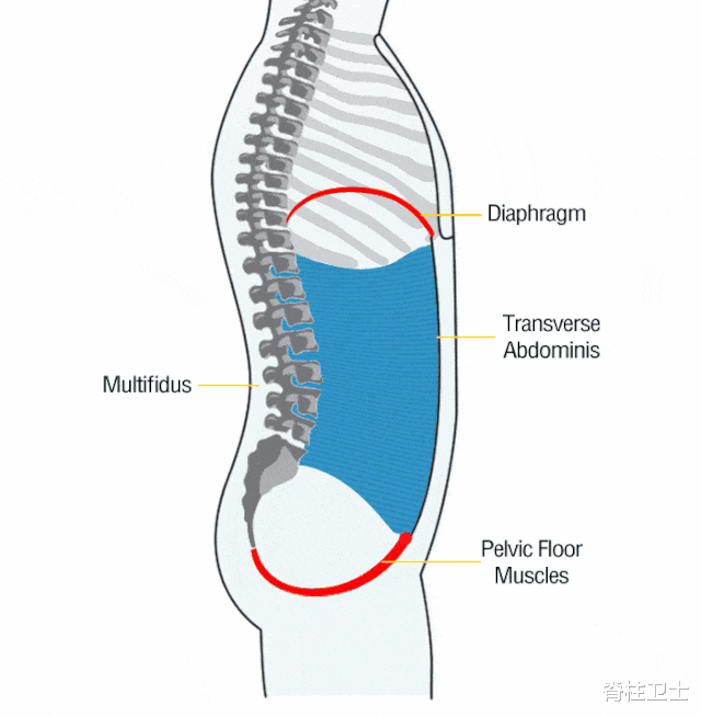 脑血管病|收藏|肋骨外翻如何有效矫正?