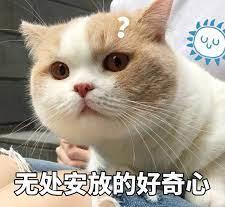 乘风破浪的姐姐3|全新赛制！网传《乘风破浪的姐姐3》名单曝光！27位姐姐名单看起