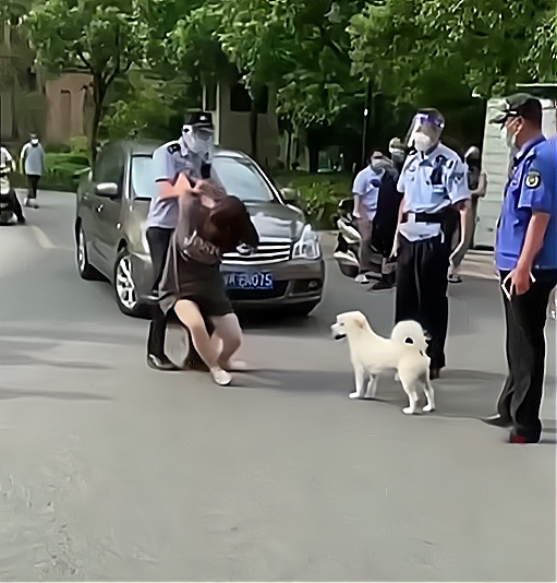 扬州 扬州女子测核酸带狗不拴绳，不听劝告还袭警，比徽州宴老板娘更狂