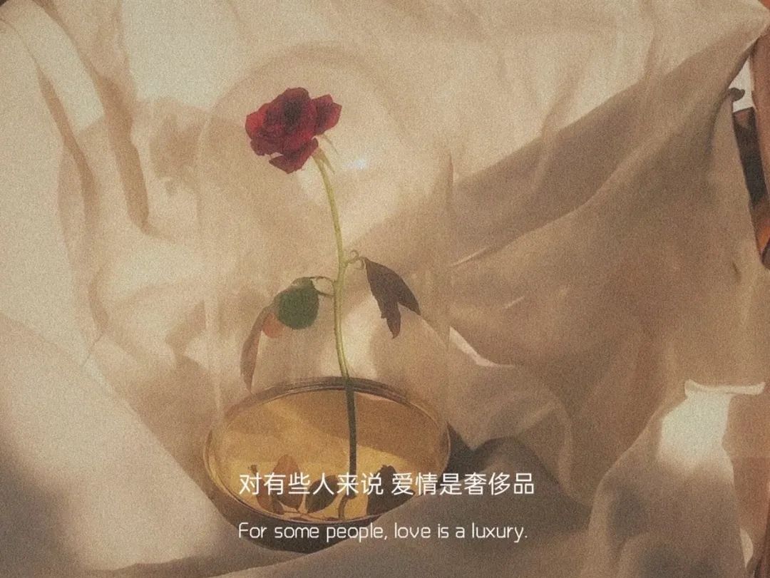 拾荒文案馆|文案丨快来收藏你的心动短句