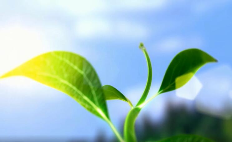 那年的星座|未来10天，3生肖横财一路发，事业发展兴旺，一生富贵不愁