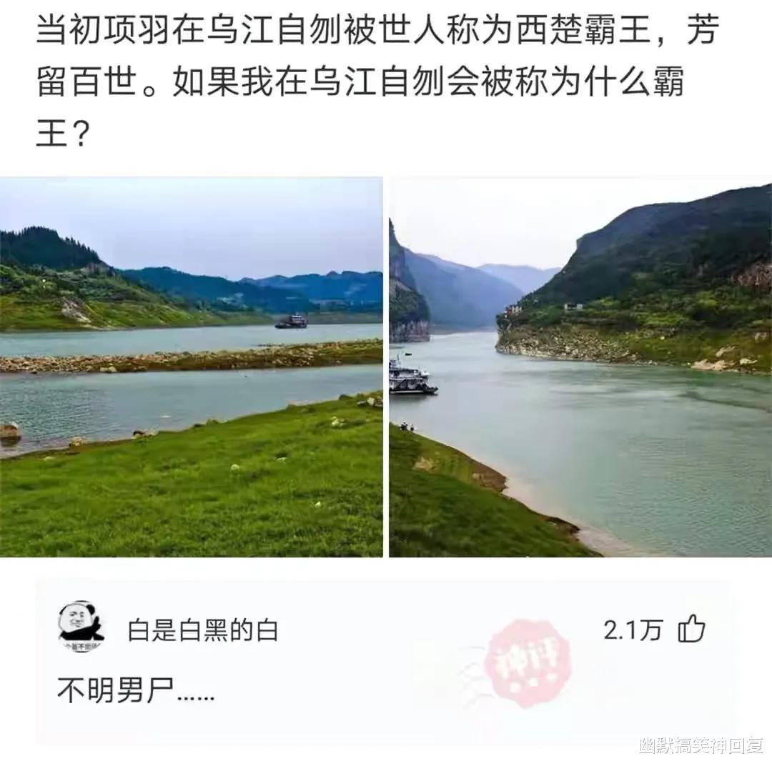 幽默搞笑神回复|神回复：“谁可以在严刑拷打下不屈服？你可以？”网友：我不行！