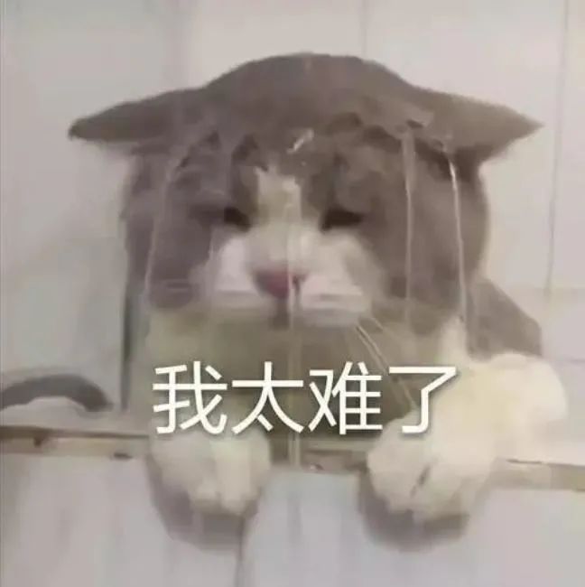 怀疑丈夫有外遇,女子请“私家侦探”调查,结局出乎意料