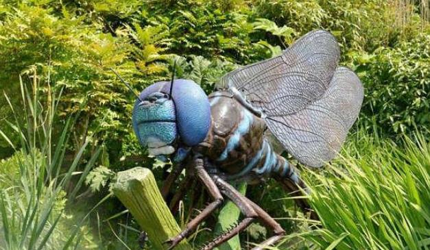电影霸主|若把其它生物体型放大10倍，人类还能保住地球霸主吗？