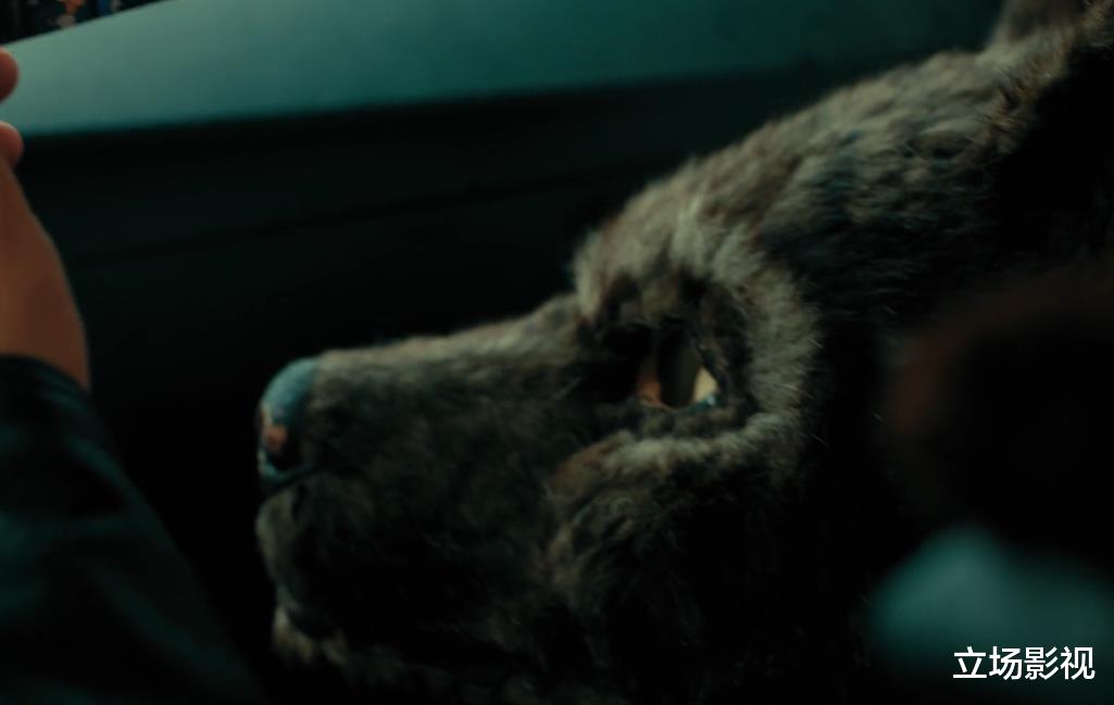 段奕宏|段奕宏新剧《双探》开播，国产剧要是都这么拍，早就赶超美剧了！