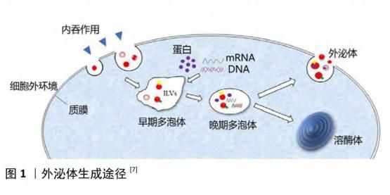航天 中科西部干细胞研究院：为生殖系统疾病治疗带来了新选择