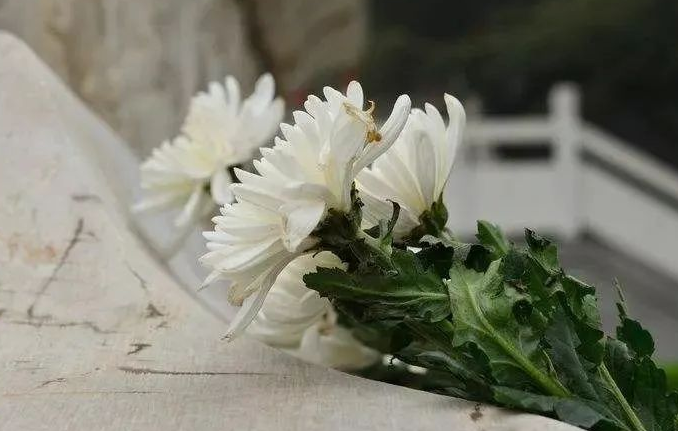 暗黑破坏神|十大非常有前景且很吃香的职业