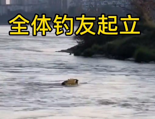 |钓鱼要到岛上钓, 一钓友激流泅渡到小岛钓鱼，堪称钓鱼人中天花板